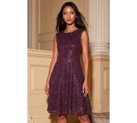 Roman Women's Petite Sequin Lace Dress in Wine | Size: 10