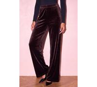 Roman Petite Wide Leg Velvet Stretch Trouser In Chocolate Chocolate