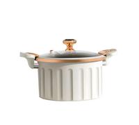 Roman Pot Micro-pressure Cooker Non-stick Soup Pot Induction Cooker Universal Binaural High-value Micro-pressure Cooker Large-capacity Cooking Pot