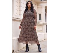 Roman Women's Curve Animal Print A-Line Stretch Dress in Natural | Size: 20