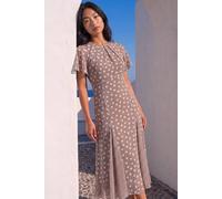Roman Women's Petite Spot Print Godet Hem Midi Dress in Stone | Size: 18 Roman Stone 18