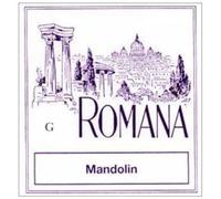 Romana Mandolin Strings G .032w