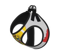 Romania Flag Map Print Adjustable Reflective Harness Leash Set For Cats, Dogs And Small Pets, Soft Breathable Mesh Walking Vest With Escape-Proof Lead