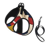 Romania Flag Map With Horizontal Lines Print Harness Leash Set For Cat And Small Dog, Adjustable, Reflective, And Escape-Proof Vest With Soft Breathable Mesh Lining