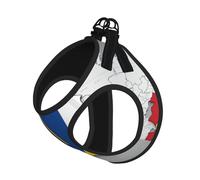 Romania Position Flag Map Print Adjustable Reflective Harness Leash Set For Cats, Dogs And Small Pets, Soft Breathable Mesh Walking Vest With Escape-Proof Lead