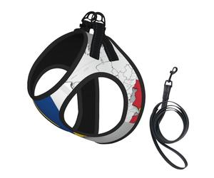 Romania Position Flag Map Print Adjustable Reflective Harness Leash Set For Cats, Dogs And Small Pets, Soft Breathable Mesh Walking Vest With Escape-Proof Lead