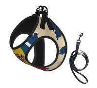 Romania Three-Dimensional Flag Map Print Harness Leash Set For Cat And Small Dog, Adjustable, Reflective, And Escape-Proof Vest With Soft Breathable Mesh Lining