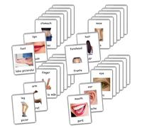 Romanian English Bilingual Flash Cards | Laminated Flash Cards | Montessori Cards | Choose Your Set (Body Parts)