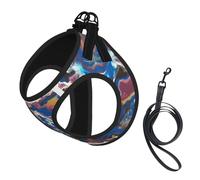 Romano Art Print Harness Leash Set For Cats And Dogs, Reflective Adjustable, Soft Breathable Mesh Vest With Escape-Proof Lead, For Small Pets And Kitten Puppies