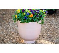 Romano Terracotta Effect Planters:One