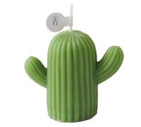 Romantic Cactus Candle Decorative Candles - Cactus Scented Candles For Home, Cactus Scented Candles For Women | Scented Soy Candles For Home With Fragrances