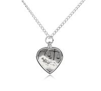 Romantic Constellation Skeleton Pet Urn Necklace for Ashes Waterproof Heart Memorial Pendant with Filling Kit 27.6" Adjustable Chain Cremation Keepsake Jewelry for Dog Cat Sympathy Gift for Pet Lovers