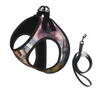 Romantic Fairy Tale Castle04 Print Dog Harness Adjustable Walk Puppy Harnesses Leash Clips Pet Harnesses Training Pet Vest