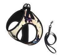 Romantic Paris Eiffel Print Pet Leash Vest,Breathable Mesh Pet Harness, Reflective For Small Medium Dogs Safe Easy Walking