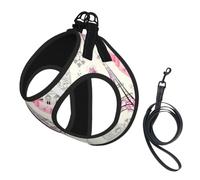 Romantic Paris Eiffel Tower Bycicle. Pet Leash Vest For Small Dogs Cats Reflective Adjustable Soft Outdoor Walking Hiking Training
