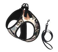 Romantic Paris Eiffel Tower Bycicle print Dog Harness and Leash Set, Reflective Adjustable Puppy Vest for Small Medium Large Dogs, Cats