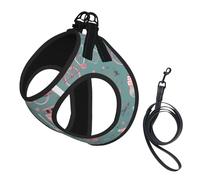 Romantic Paris Eiffel Tower Bycicle Print Reflective No Choke Pet Vest Harness,Adjustable Soft Padded Dog Harness With Easy Control Handle