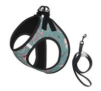 Romantic Paris Eiffel Tower Bycicle Print Soft Mesh Dog Harness and Leash Set Pet Puppy Cat Comfort Padded Vest No Pull Harnesses