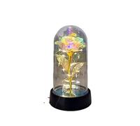 Romantic Valentine’s Gift for her, Women’s Forever Blooming LED Gold Rose