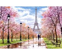 Romantic Walk in Paris