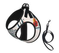 Rome Cityscape With Italian Print Small Dog Harness And Leash Set, Adjustable Soft Vest With 360° Reflective Straps For Cats Puppy