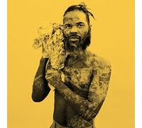Rome Fortune - Jerome Raheem Fortune [VINYL]