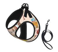 Rome Map With Landmarks Illus Print Small Dog Harness And Leash Set, Adjustable Soft Vest With 360° Reflective Straps For Cats Puppy