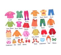 ROMISBABA 1 Sheet Clothing Organization Labels Removable Wardrobe Stickers for Easy Identification Clothing Sort Decals for Rooms Educational Clothes Classification Stickers