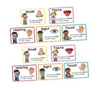 ROMISBABA 2 Sets Flash Cards Early Childhood Education Posters for Cognitive Learning and Sensory Development Multi Sensory Learning for Vocabulary Expansion Memory and Language Skills