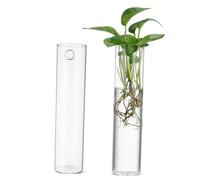 ROMISBABA 2pcs Clear Glass Wall Vases Hanging Cylindrical Planters for Flowers Minimalist Hydroponic Propagation Stations Indoor Wall Decor