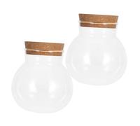 ROMISBABA 2pcs Glass Hydroponic Vases for Small Plants Compact Propagation Containers for Diverse Planting Space-saving Terrarium Bottles for Office and Home Decor
