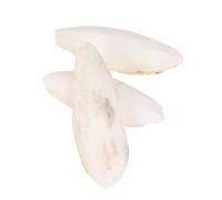 ROMISBABA 3 Pcs Parrot Cuttlebone Chew Calcium Bite Molar Pendant for Cage Hanging Small Pets Calcium Supplement for Birds and Turtles