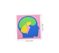 ROMISBABA 4pcs Montessori Brain Model Puzzle for Stem Educational Human Brain Anatomy DIY Cognitive Development for Preschoolers Classroom Learning Tool