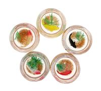 ROMISBABA 5pcs Realistic Dollhouse Fish Bowl Miniature Fish Models Aquarium Decorations for Dollhouse Accessories and Micro Landscape Tank Enhancements