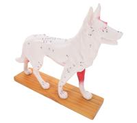 ROMISBABA Canine Body Acupuncture Model Dog Anatomy Teaching Tool Veterinary Anatomical Model for School Students Medical Acupuncture Point Training Aid
