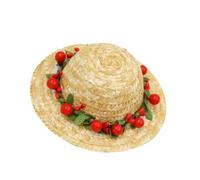 ROMISBABA Dog Woven Hat with Red Daisy Flower Creative Photo Prop for Small Dogs S Soft Comfortable Summer Hawaii Style Headwear for Birthday Parties Masquerade Daily Wear and Photoshoot