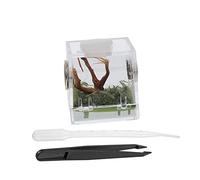 ROMISBABA Jumping Spider Breeding Box Small Non- Habitat for Florida Jumping Spider Home Use