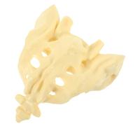 ROMISBABA Medical Sacrum Bone Model PVC Anatomy Portable Human Sacrum Anatomical Model for Teaching Hospital Patient Education