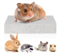 ROMISBABA Natural Lava Foot Grinding Pad for Small Animals Compact Claw Scratcher for Gerbils Hamsters Guinea Pigs and Rabbits Suitable for Cage Use