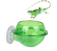 ROMISBABA Small Pet Reptile Feeding Bowl with Suction Cup Durable Abs Water and Food Feeder for Lizards Turtles and Amphibians Secure Attach Design for Terrarium Use