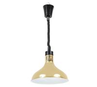 ROMISBABA Telescopic Titanium Heat Lamp for Food Warming Single Head Hanging Buffet Warmer with Uniform Heating and Fast Heat Dissipation Metal Construction for Catering and Restaurant Use