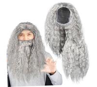 ROMISBABA Wizard Wig Set Halloween Costumes Medieval Cosplay Costume Adult Men Professor Fancy Gothic Party Dark Gray Beard Wig Halloween Vi The Pet Grey
