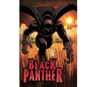 Romita Jr., John - Black Panther: Who Is The Black Panther HC