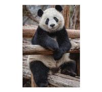 Rompecabezas 1000pcs(38x26cm) Para Adolescentes Cute Panda Portrait on Wooden Structure Rompecabezas Para Adultos Juguetes Antiestrés Mejora La Memoria Es Ideal Como Regalo 1000pcs(38x26cm)