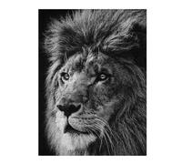 Rompecabezas Para Adolescentes 1000pcs(52x38cm) Lion Face Black And White Rompecabezas Para Adultos Juego Práctico Difícil Difícil Diversión Actividades En Casa, 1000pcs(52x38cm)