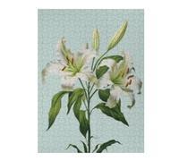 Rompecabezas Para Adolescentes 1000pcs(52x38cm) White Lily Flower Plant Rompecabezas Para Adultos Juegos De Relajación Análisis Y Lógica Juegos Desafiantes Regalos 1000pcs(52x38cm)