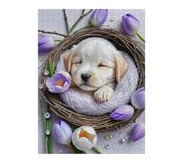 Rompecabezas Para Adultos 1000pcs(52x38cm) Floral Nest with Cute Puppy Rompecabezas Para Adultos Juegos Familiares Regalo De Cumpleaños Regalos Únicos Para Cumpleaños Y Navidad 1000pcs(52x38cm)