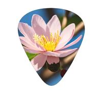 RoMuka Pink Almond Blossom Guitar Paddle 12 Pack Guitar Picker Suitable For Bass Guitar Electric Guitar Soundtrack Guitar Yukrili