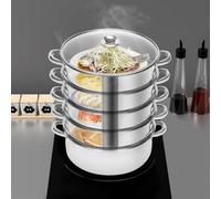 ROMYIX 5-Tier Steamer for Cooking, Stainless Steel Steamer Pan With Glass Lids, 304 Food-Grade Pot for Dumplings, Vegetables, Fish, Compatible with Gas & Induction Hob,Silver (26CM)