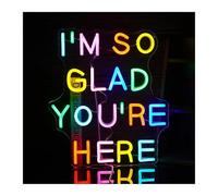 RONGCH Hanging Art Neon Signs I’m So Glad You’re Here Neon Sign USB Powered Dimmable for Wall Decor Bedroom Classroom Wedding Party Store(B)